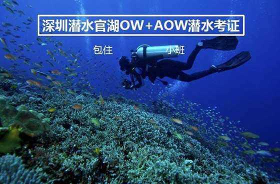清炒空心菜怎么做比较好吃？游戏画面
